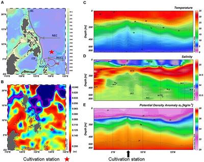 Simulation of Enhanced Growth of Marine Group II Euryarchaeota From the Deep Chlorophyll Maximum of the Western Pacific Ocean: Implication for Upwelling Impact on Microbial Functions in the Photic Zone